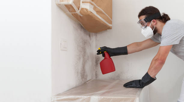 Professional Mold Inspection And Testing technician working in Dana, NC
